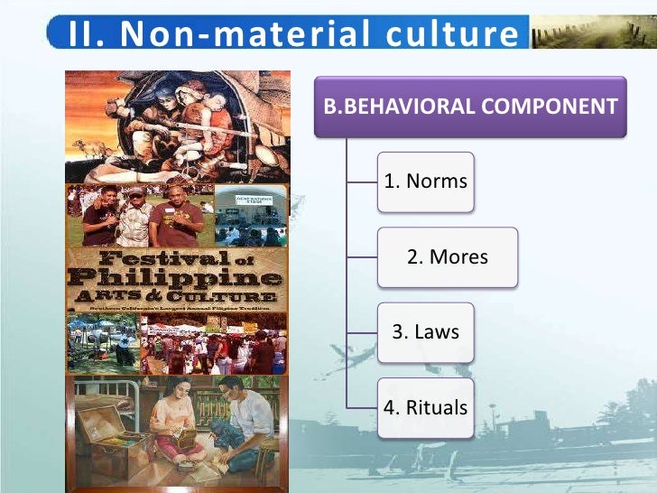 material and nonmaterial culture examples