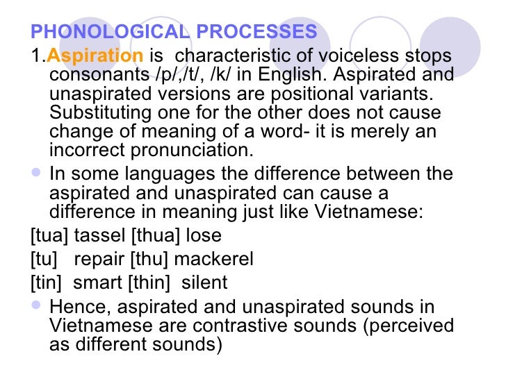 age of elimination of phonological processes