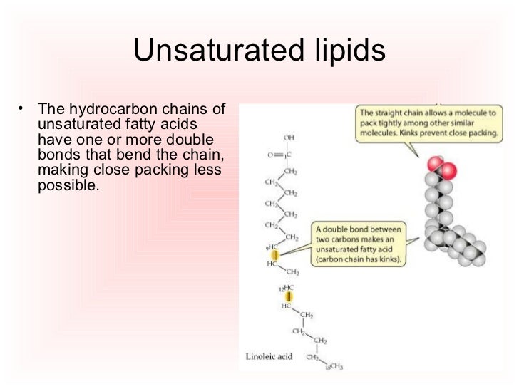 Phospholipids