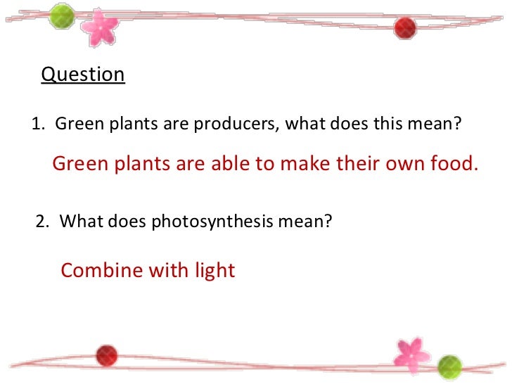 What does thesis mean in photosynthesis