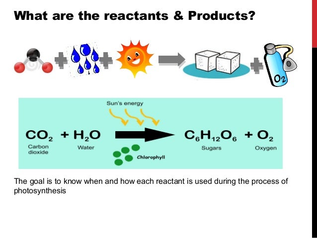 overview of photosynthesis overview of photosynthesis