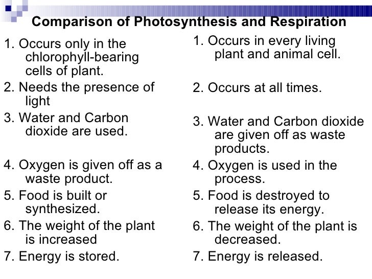 Essay comparing photosynthesis and cellular respiration