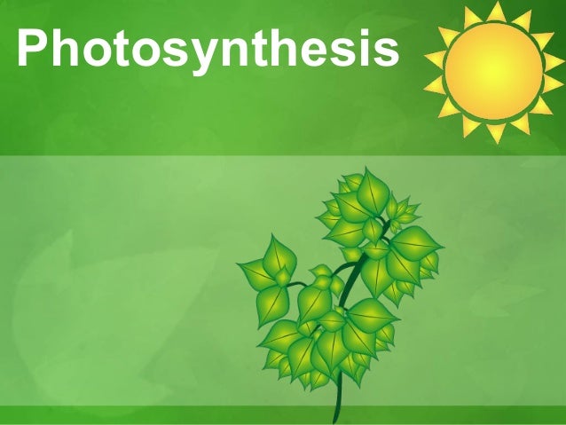 clipart photosynthesis - photo #32