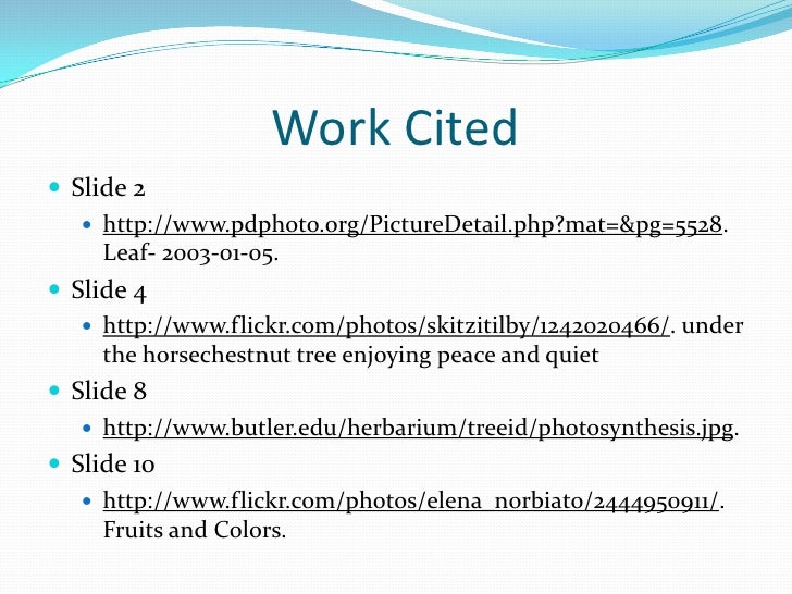photosynthesis powerpoint work coted