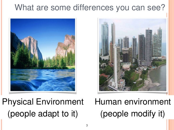 Physical and human environment blog