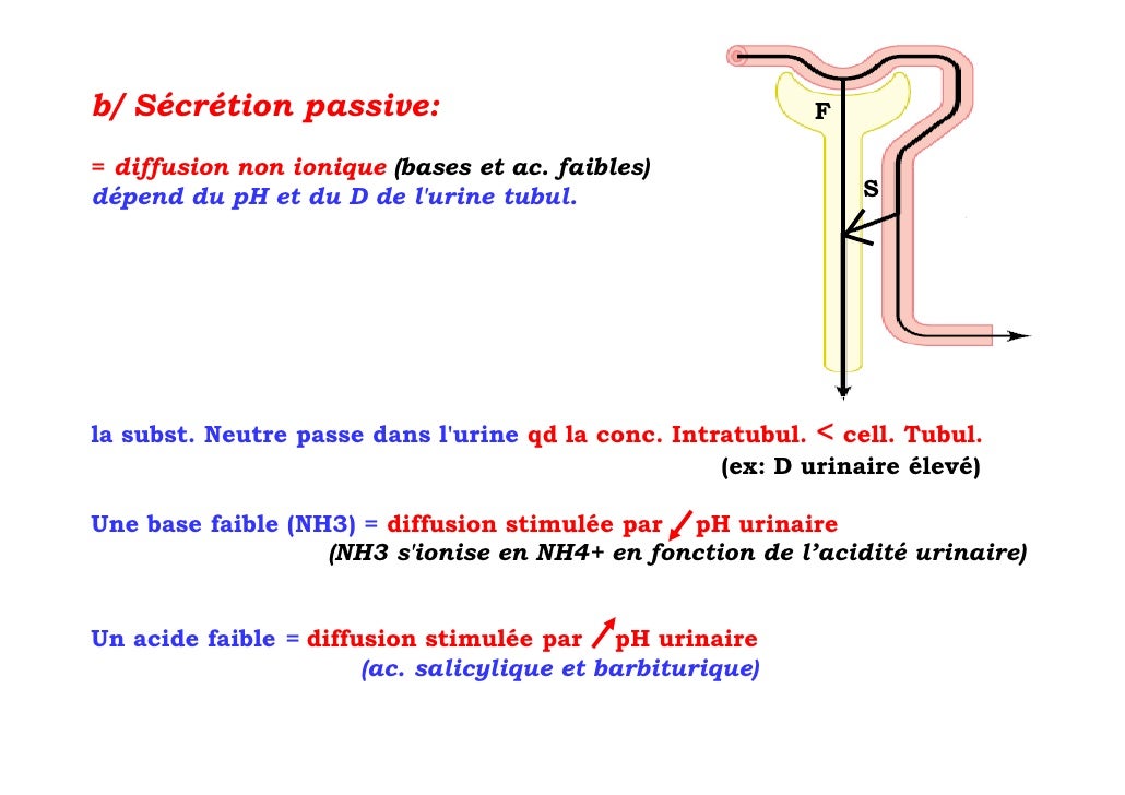 L'urée Et La Synthèse De L'acide Barbiturique