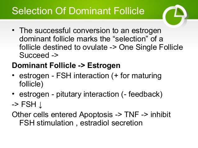 Clomid And Mature Follicle