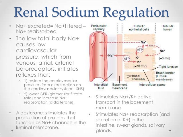 dialysis technician training georgia