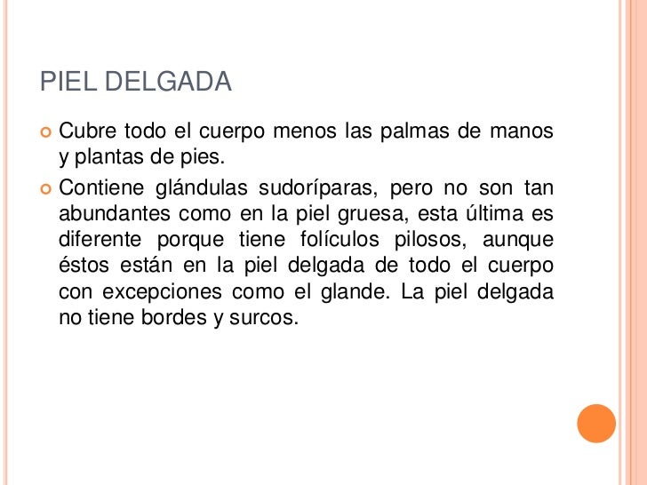 Piel exposicion