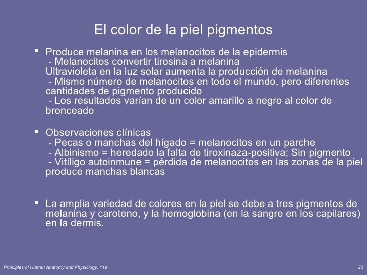 Que blanquea es instantáneo la máscara para la persona