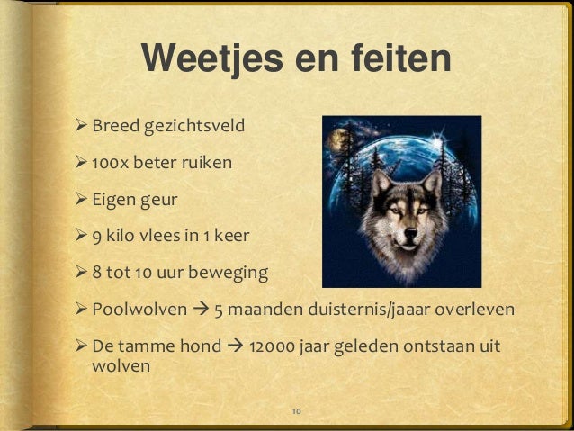 Pieter wolven 5_a