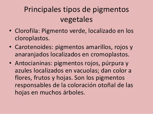 Las manchas de pigmento en las manos de la causa y el tratamiento a