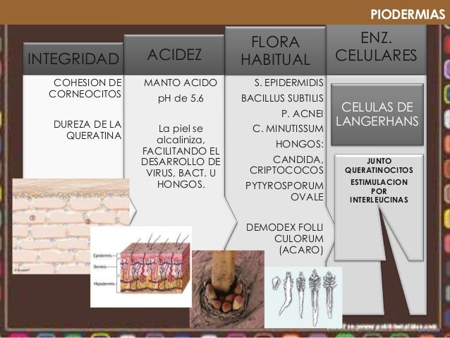  осложненным демодекозом uMEDp