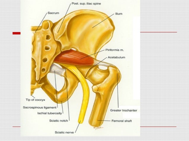 best running shoes for piriformis best running shoes for piriformis 28 images best best running shoes for piriformis best running shoes for piriformis 28 images best