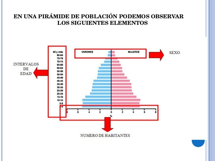 PiráMide De PoblacióN