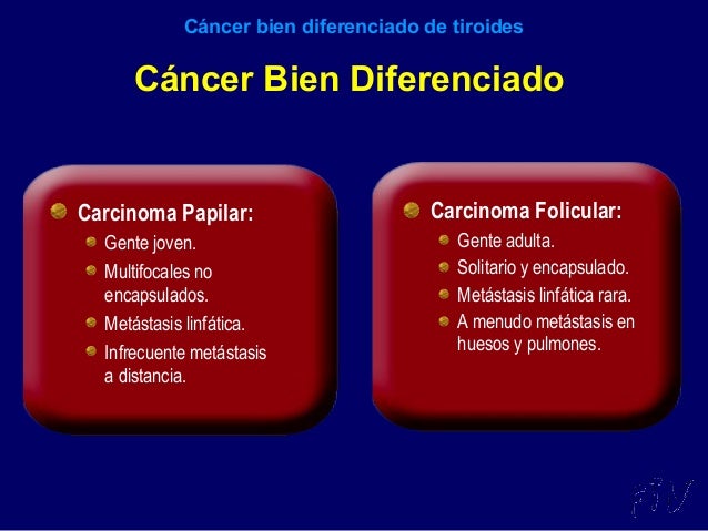 Mesotelioma Papilar Bien Diferenciado