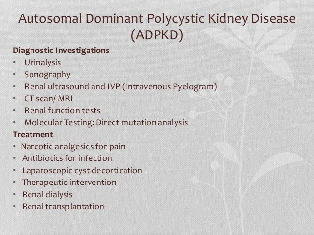kidney troubles in puppies fresenius dialysis education time table