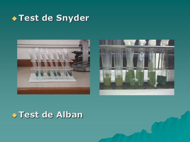 Placa bacteriana y caries dental