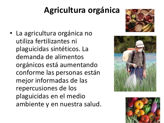 Resultado de imagen de Movimiento de Agricultura Orgánica de El Salvador