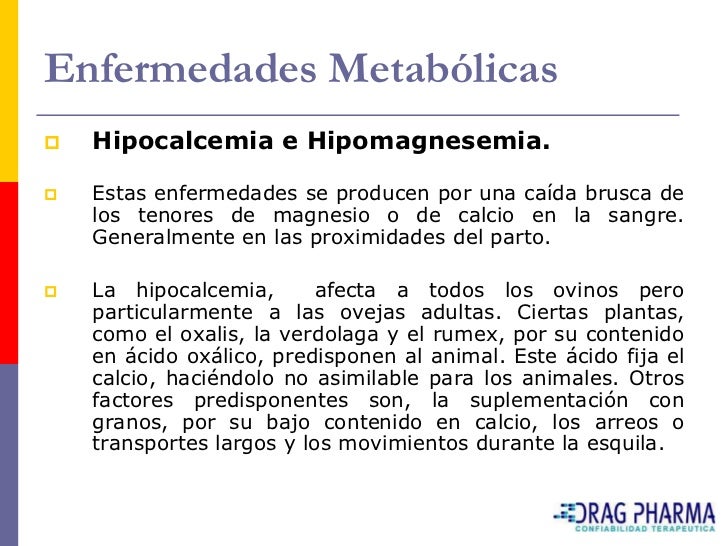 Los helmintos a la persona el tratamiento las revocaciones