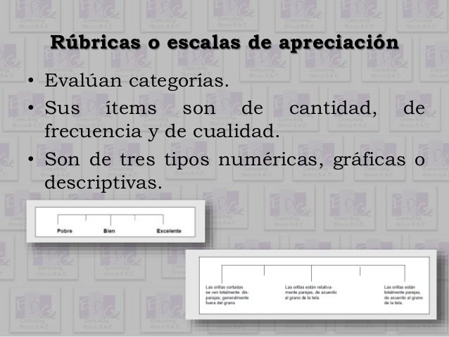 Son competencias generales o macro-competencias, 
que todos los estudiantes 
peruanos sin excepción necesitan lograr y 
ti...