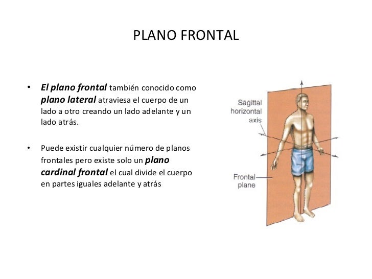 Planos y ejes del cuerpo humano