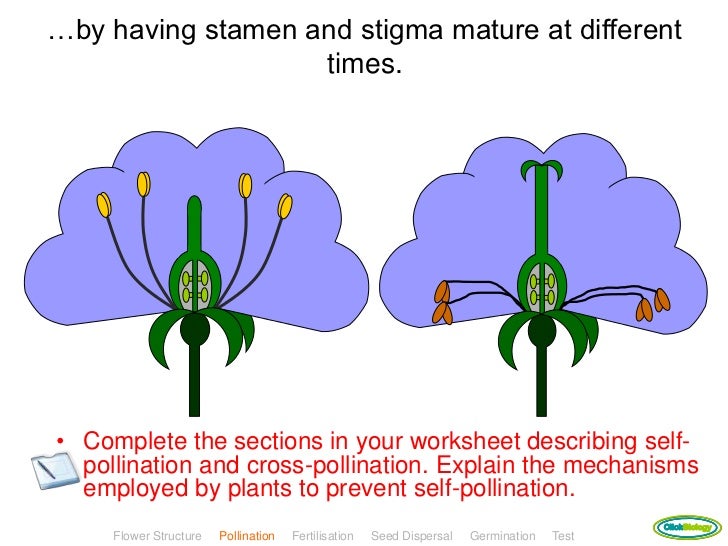 Plant reproduction