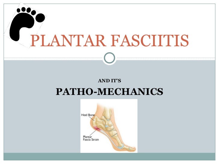 Plantar Fascia