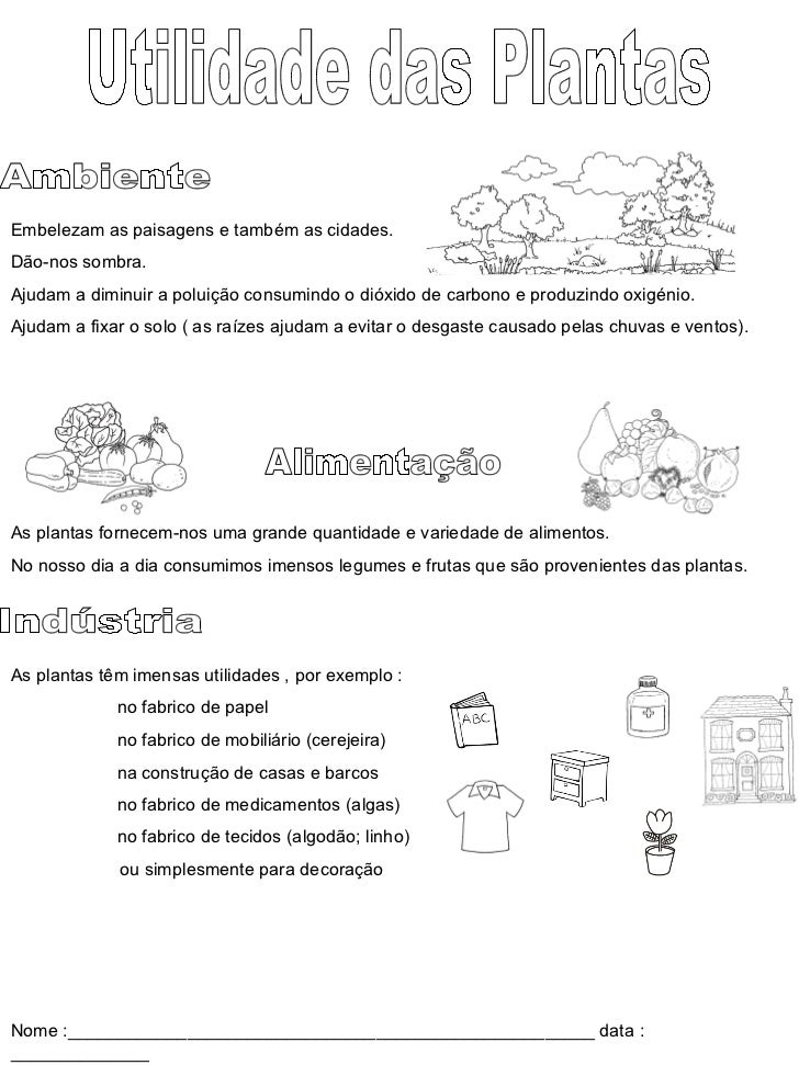Exemplos Da Utilidade Da Vegetação Na Alimentação