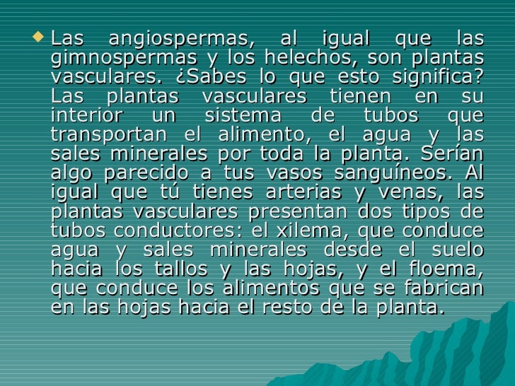 Plantas Gimnospermas Y Angiospermas Plantas Gimnospermas Y Angiospermas