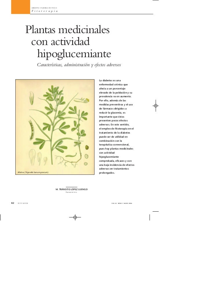 Plantas medicinales hipoglucemiantes Plantas medicinales hipoglucemiantes