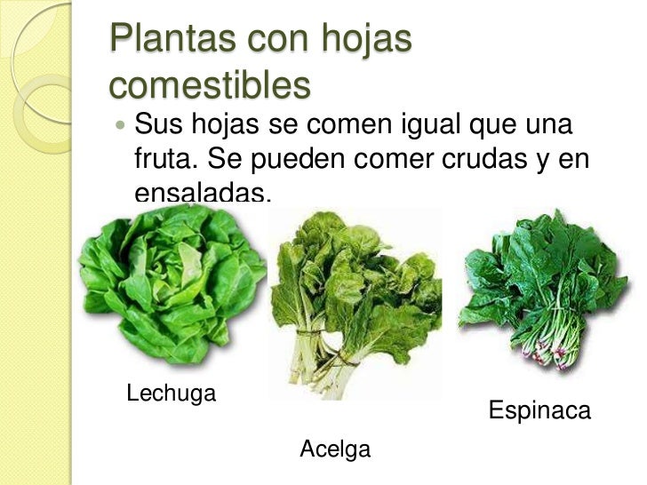 CIFRAS Y LETRAS enero 2016