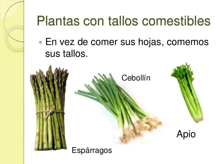 de cada planta? Buena parte de nuestra alimentación incluye plantas de cada planta? Buena parte de nuestra alimentación incluye plantas