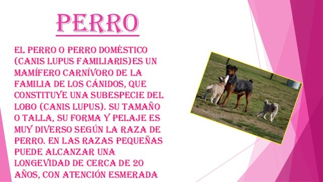 Imagenes Mitologicas Con Su Descripcion | descripci 243 n de plantas y animales Imagenes Mitologicas Con Su Descripcion | descripci 243 n de plantas y animales