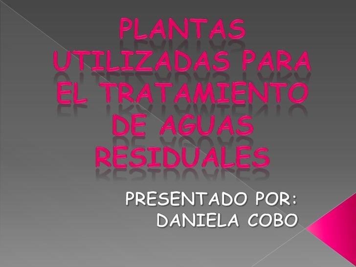 PLANTAS UTILIZADAS PARA EL TRATAMIENTO DE AGUAS RESIDUALES PRESENTADO PLANTAS UTILIZADAS PARA EL TRATAMIENTO DE AGUAS RESIDUALES PRESENTADO