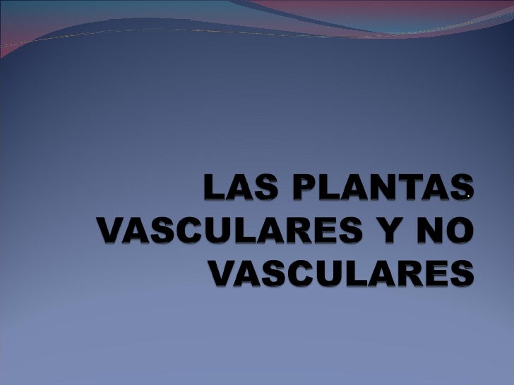 Plantas vasculares y no vasculares Plantas vasculares y no vasculares