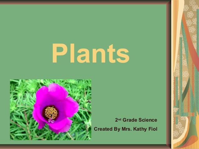Second Grade Science: Plants