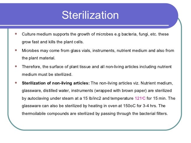 Tissue culture research papers