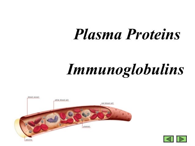 plasma proteins plasma proteins