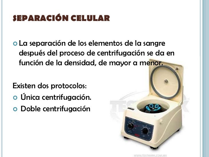 Las pastillas por el aumento del pecho breast success