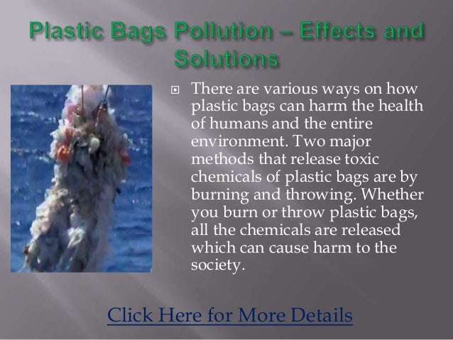 essay on plastic bags health hazards (argumentative essay) plastic bag ban: boon or bane somewhere between 500 billion and a trillion plastic bags are consumed worldwide each year. essay on plastic bags health hazards (argumentative essay) plastic bag ban: boon or bane somewhere between 500 billion and a trillion plastic bags are consumed worldwide each year.