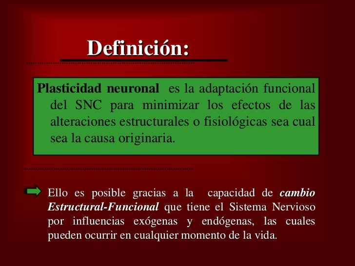 Bienvenidos al nuevo foro de apoyo a Noe #271 / 30.06.15 ~ 03.07.15 - Página 38 Plasticidad-neural-5-728