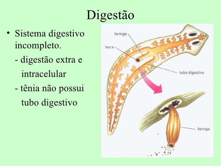 Platelmintos