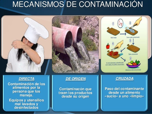 Saneamiento de alimentos