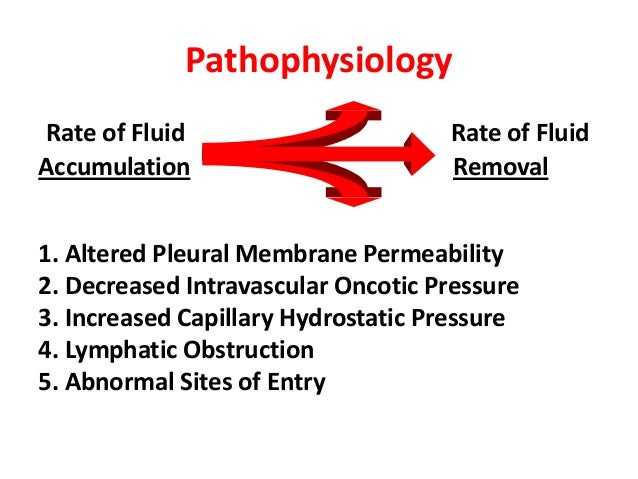 Peritoneal Dialysis Wbc count number
