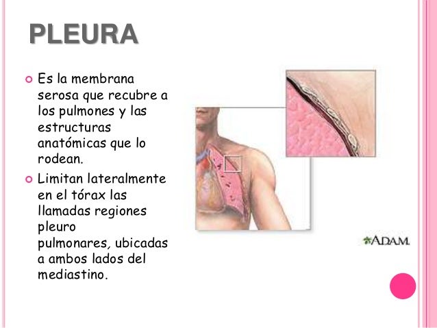 cofundador de tesla motors y paypal