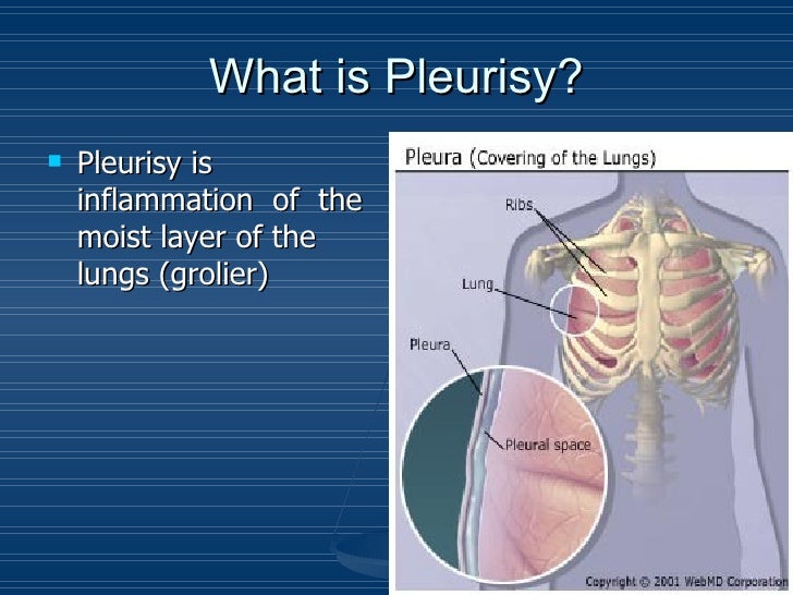 Fresenius honolulu dialysis center in honolulu kidney transplant diet