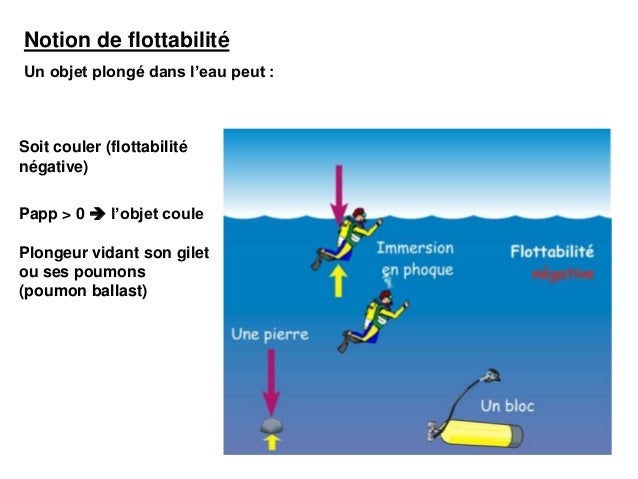 ClipXaab Plongée la renée exercice niveau 3