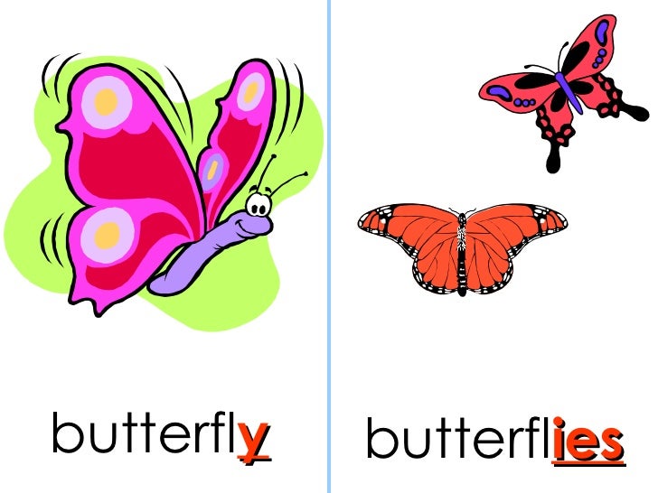 Plural ies Plural ies