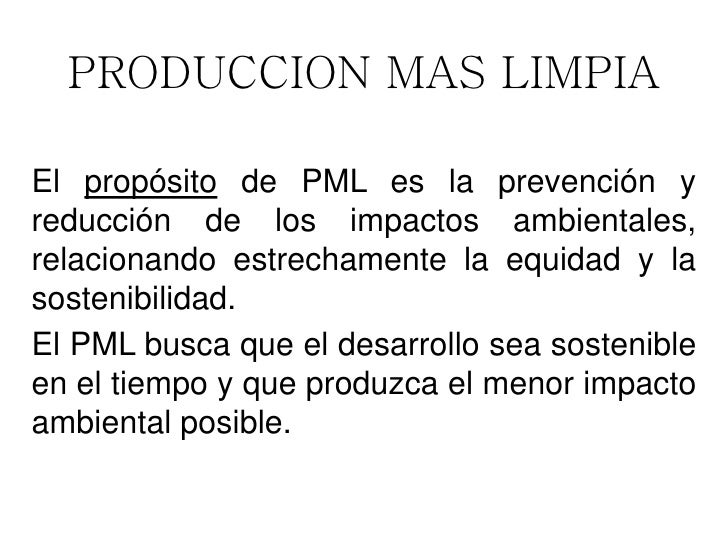 PRODUCCION MAS LIMPIA 2009-02